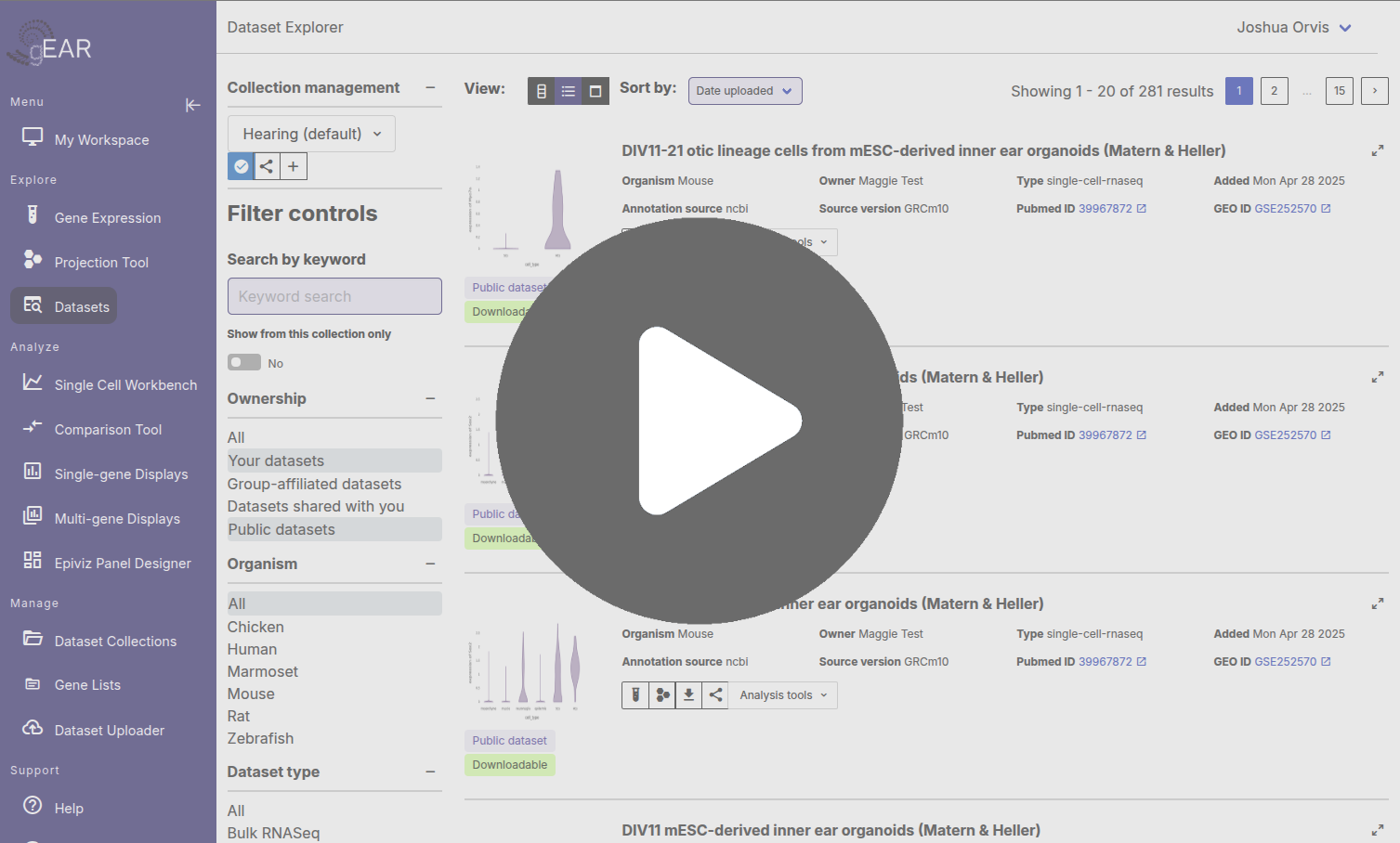 Preview of the dataset explorer
