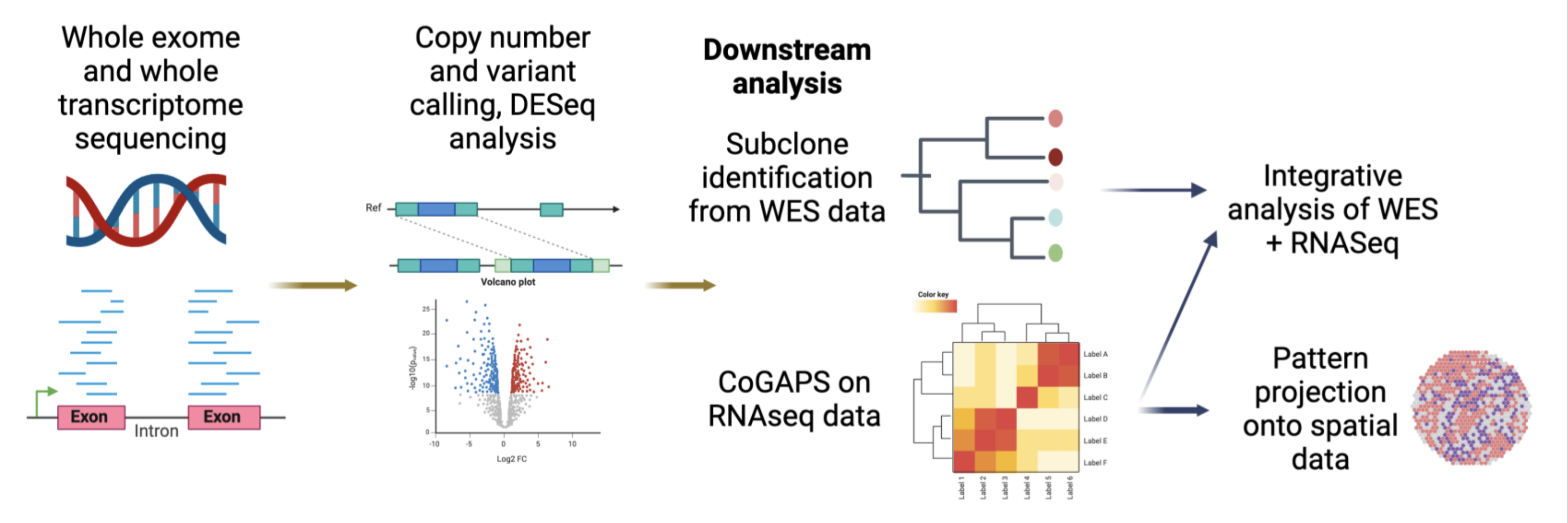 Semaan IPMN paper workflow